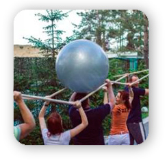 exercise transfer